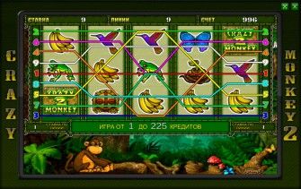 Выигрышные линии в игровом автомате Crazy Monkey 2